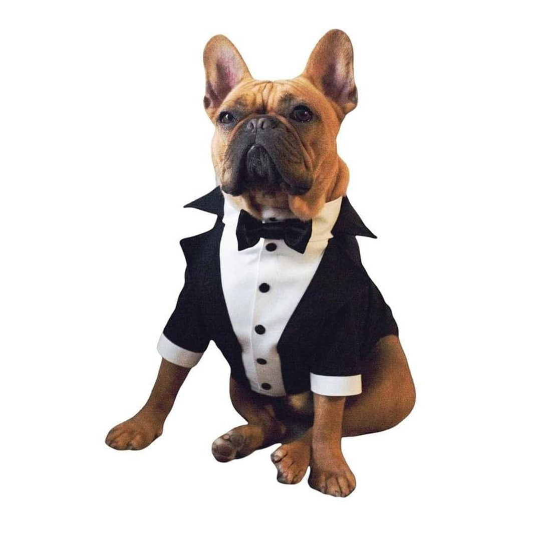 Tuxedo